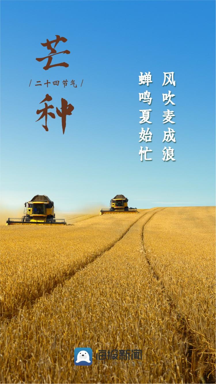 海报图品|芒种至,仲夏始