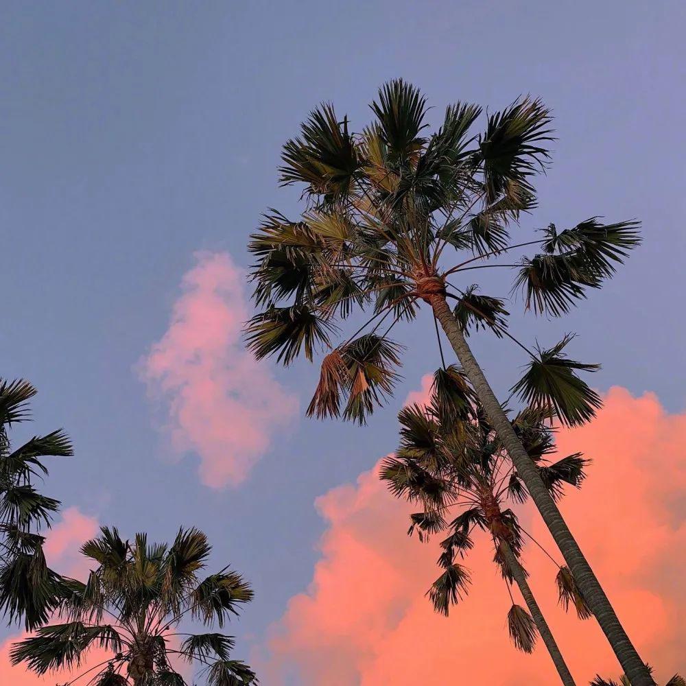 朋友圈背景图抖音封面背景图