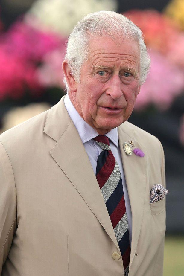 查尔斯王子被哈里和梅根的"冷嘲热讽"弄得"不知所措"