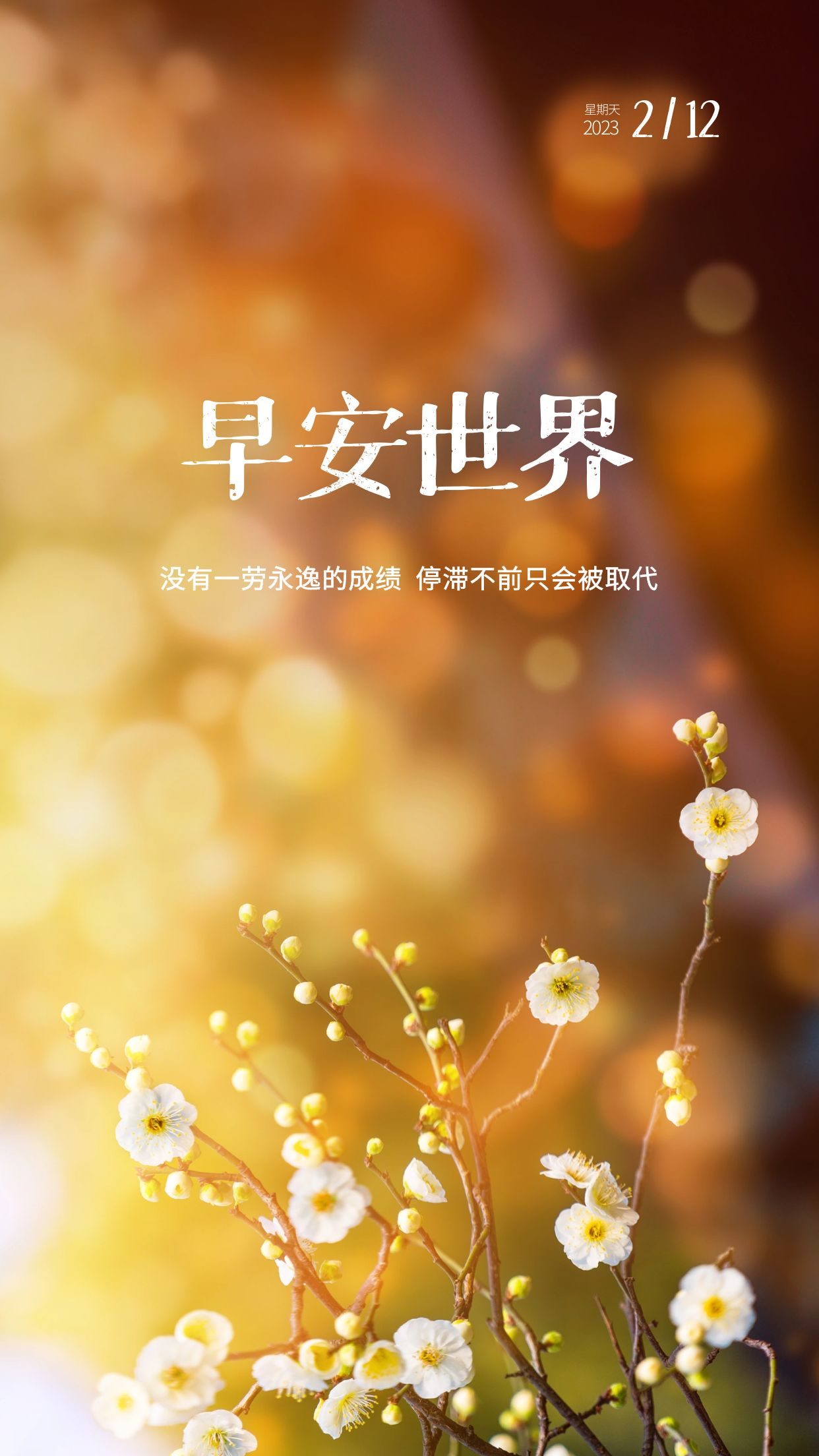 清晨发朋友圈的早安图片正能量文案:把握今天,努力书写精彩明天