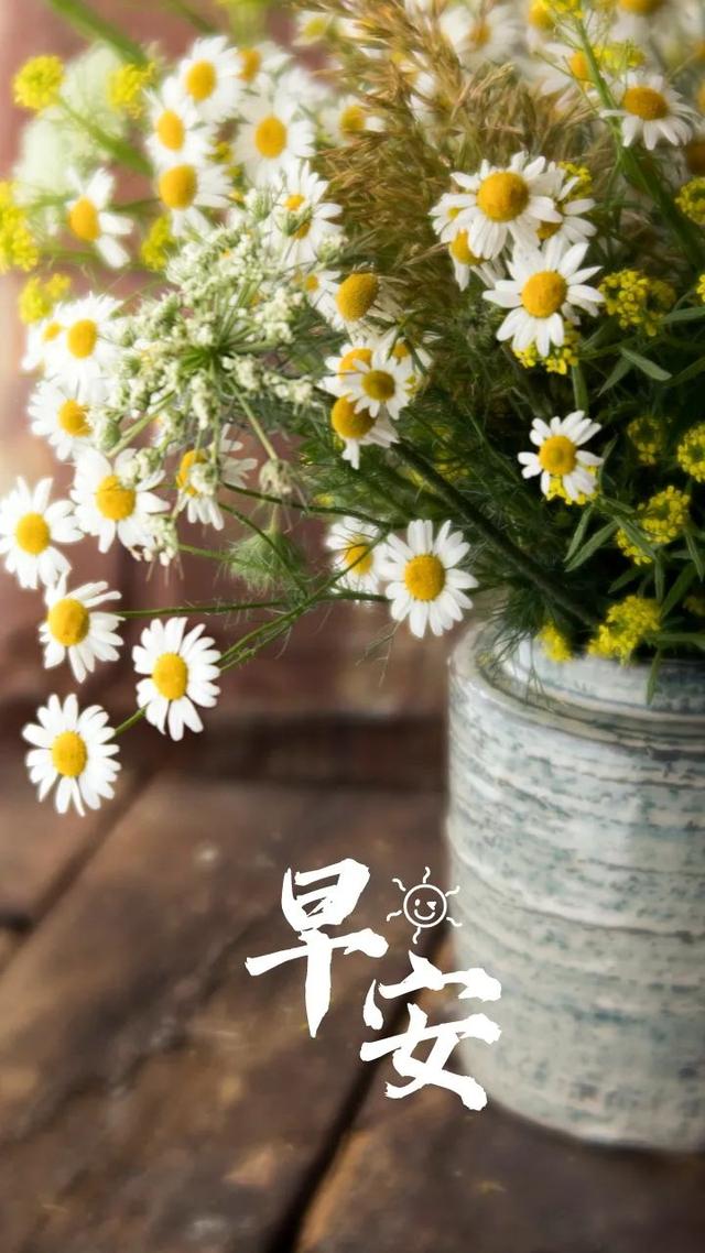 早安正能量句子语录早上好问候图片
