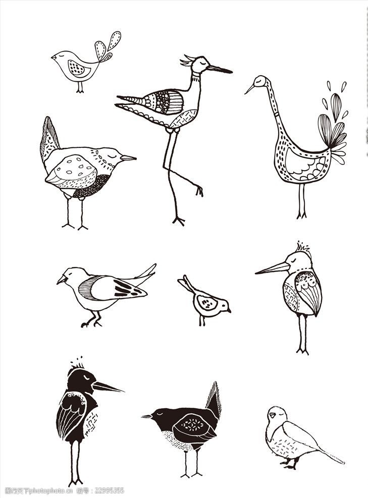 黑白线条手绘小鸟