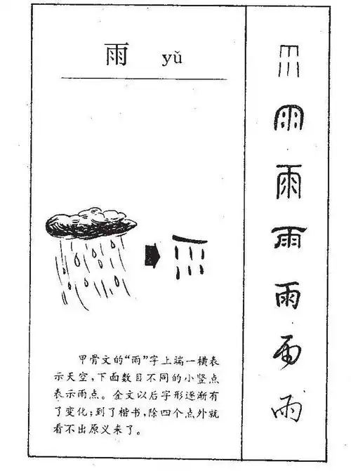 一字一故事之"雨"——光明实验小学二(4)中队"5 35"葵花小讲堂