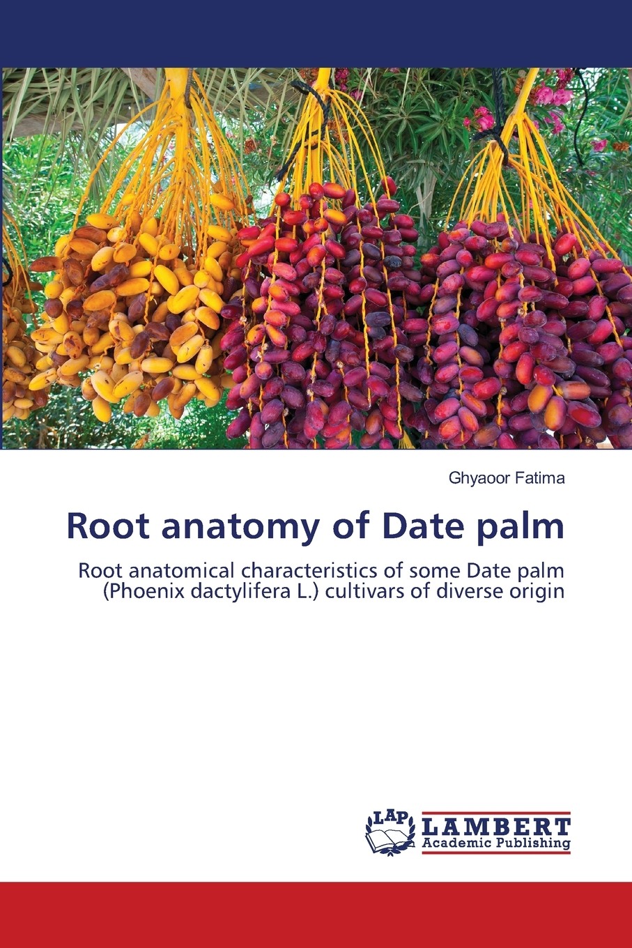 预售 按需印刷 root anatomy of date palm