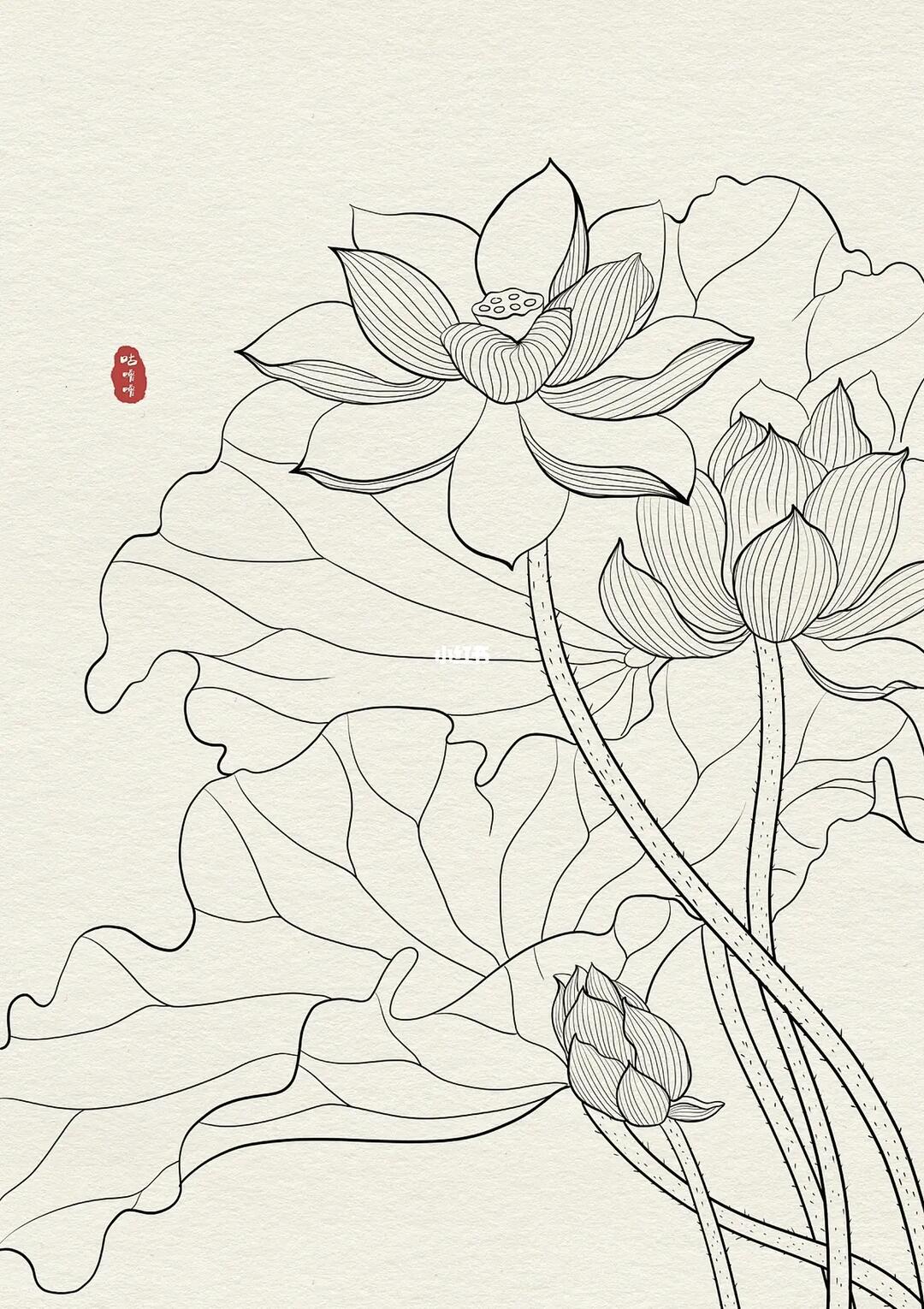 荷花线稿白描国风练习