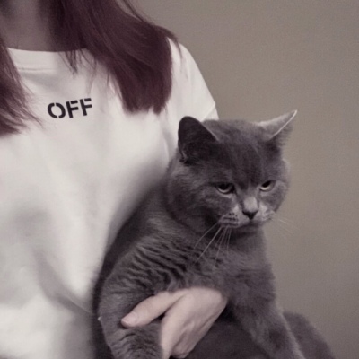 温柔抱猫部位闺蜜头 遇到那么多_女生头像_我要个性网