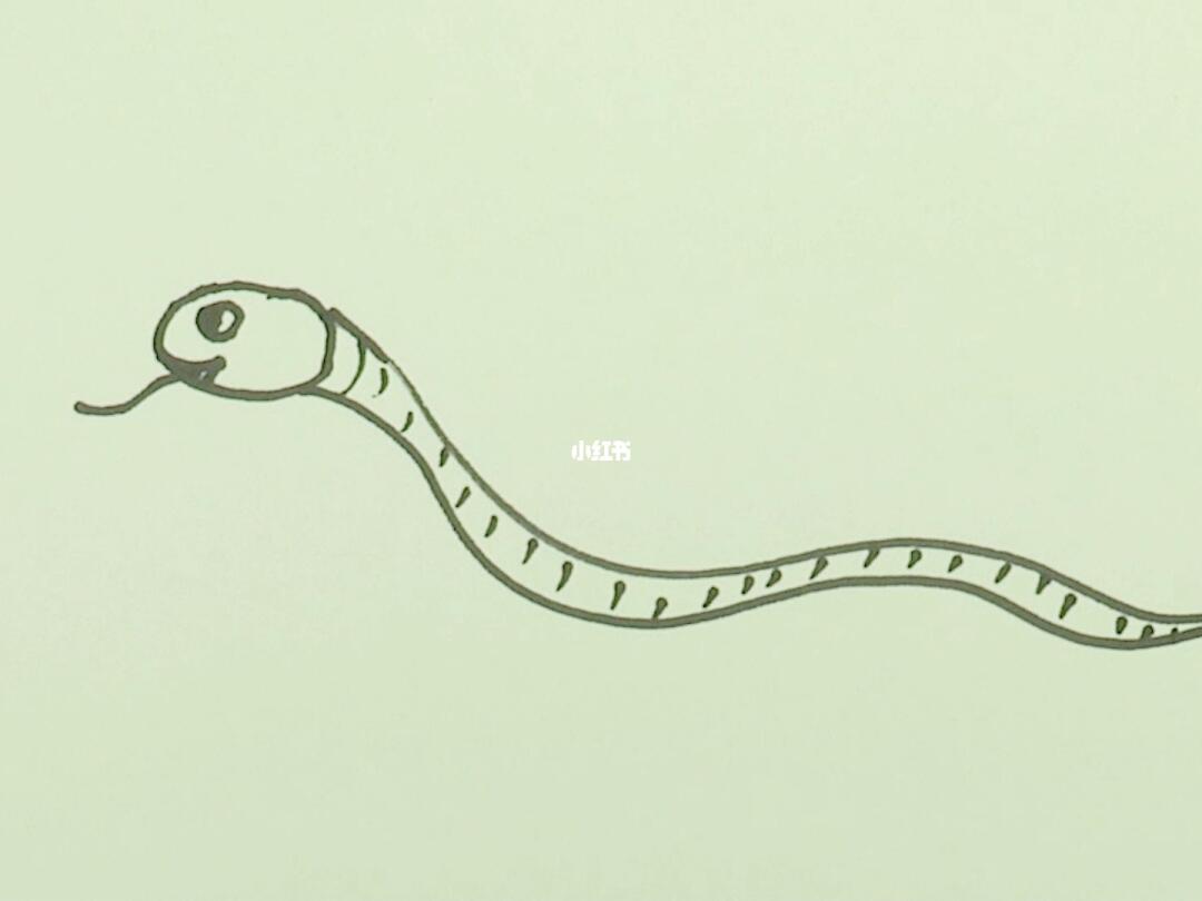 画画   #美术   #简笔画教程   #儿童画