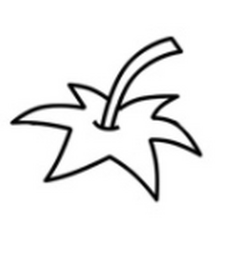 香甜美味的草莓简笔画设计秀详细的植物简笔画叶子花花草草系列67