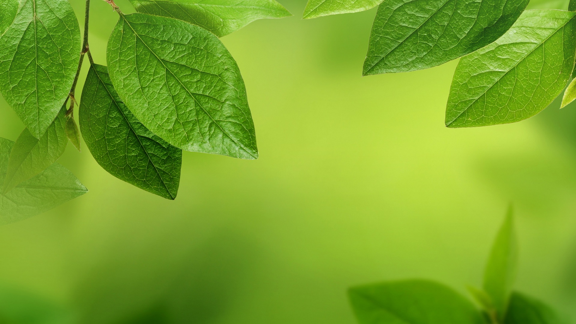 安装元气桌面,海量壁纸一键设置尺寸:1920x1080体积:0.