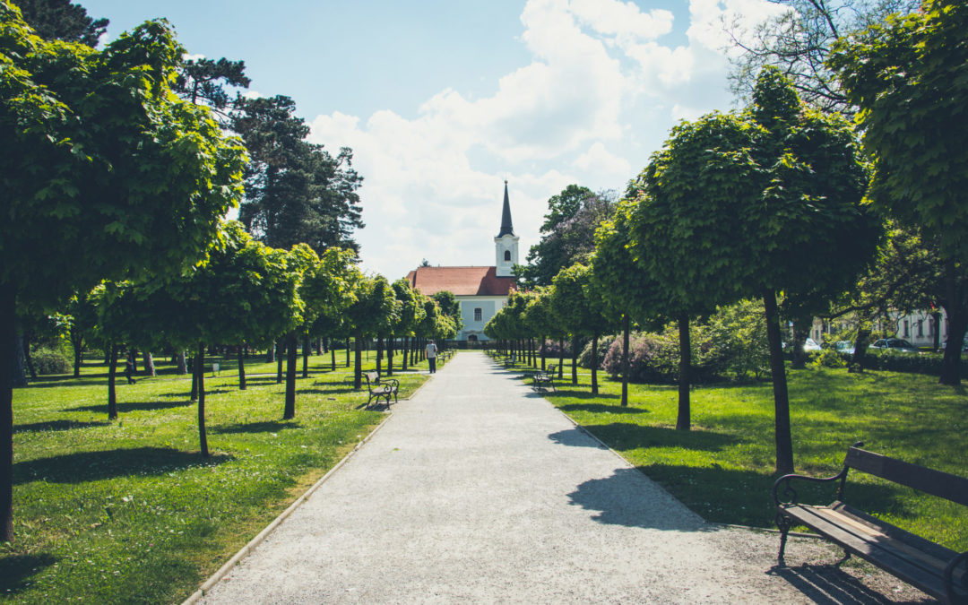 "how religious freedom erodes, one step at a time" – interview