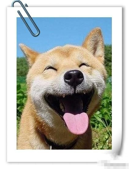 我错了下次还敢下次还敢我错表情