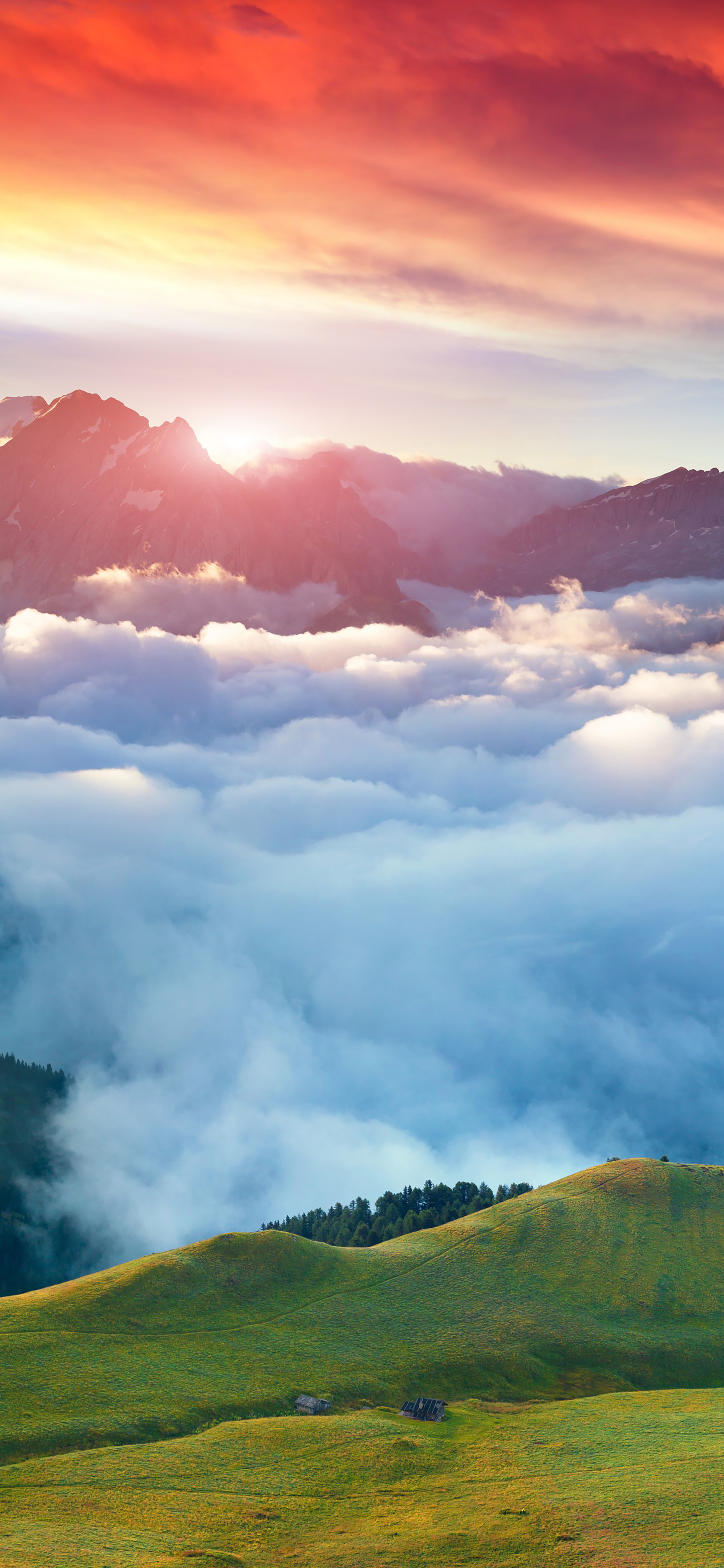 周未壁纸‖你要积极向上,因为未来有光!