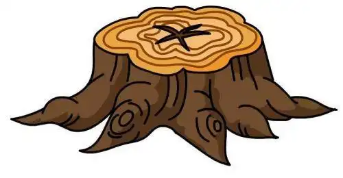 儿童彩色树根简笔画怎么画涂色简单树根简笔画带步骤画法