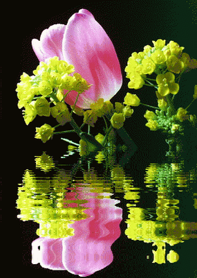 300_422竖版 竖屏gif 动态图 动图