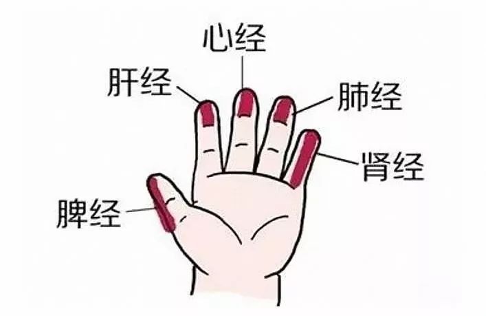 重庆六合学校除了给小朋友送上祝福外还带来了满满干货