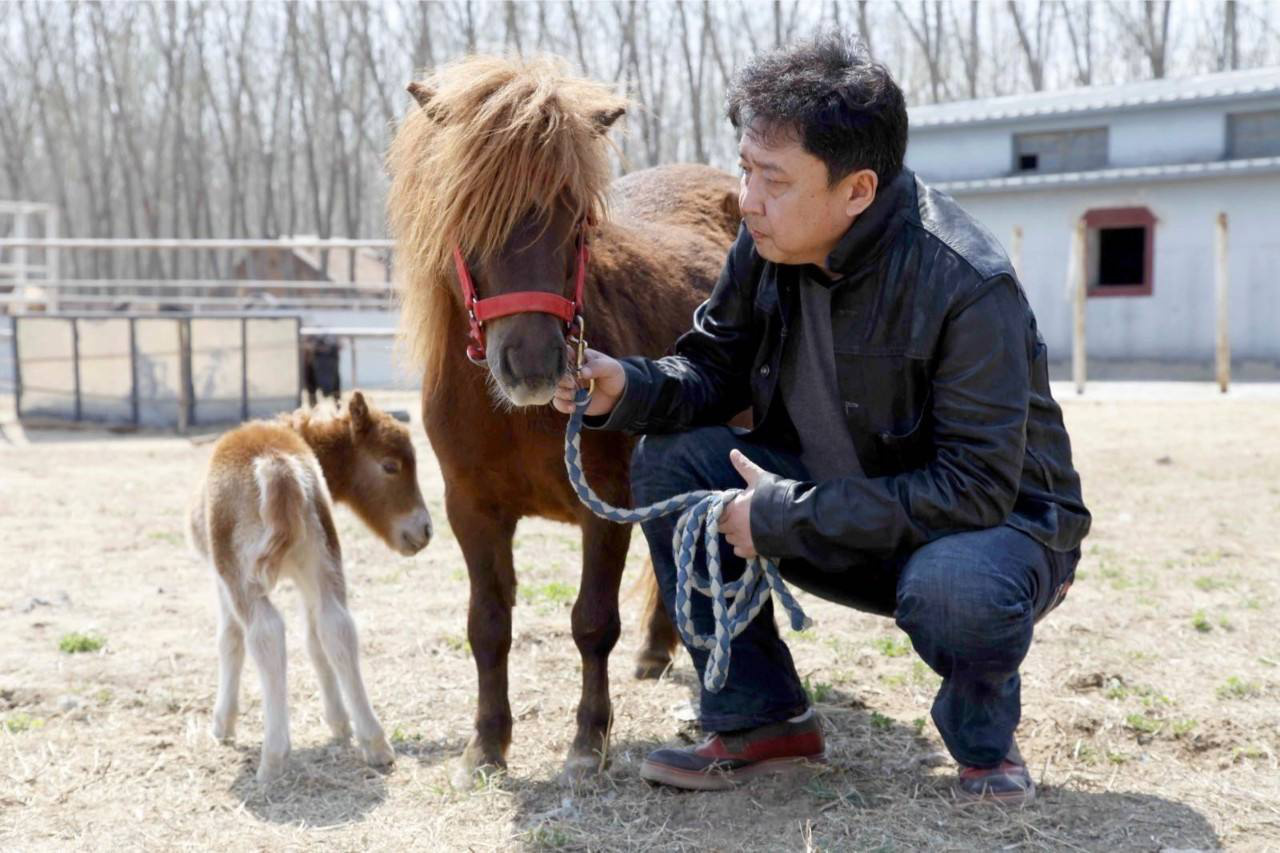 反超比悲伤被耽误的于谦凭什么成为大赢家