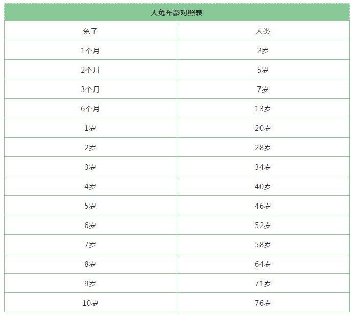 兔子与人的年龄换算表终于知道兔兔多大了