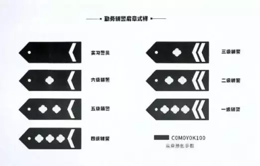 最新款曝光被称为最值得全国推广的辅警肩章臂章