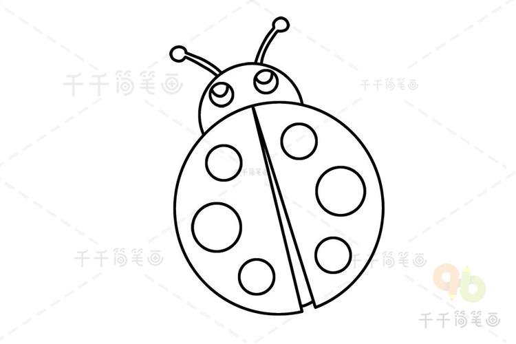 七星瓢虫简笔画分步画法七星瓢虫简笔画