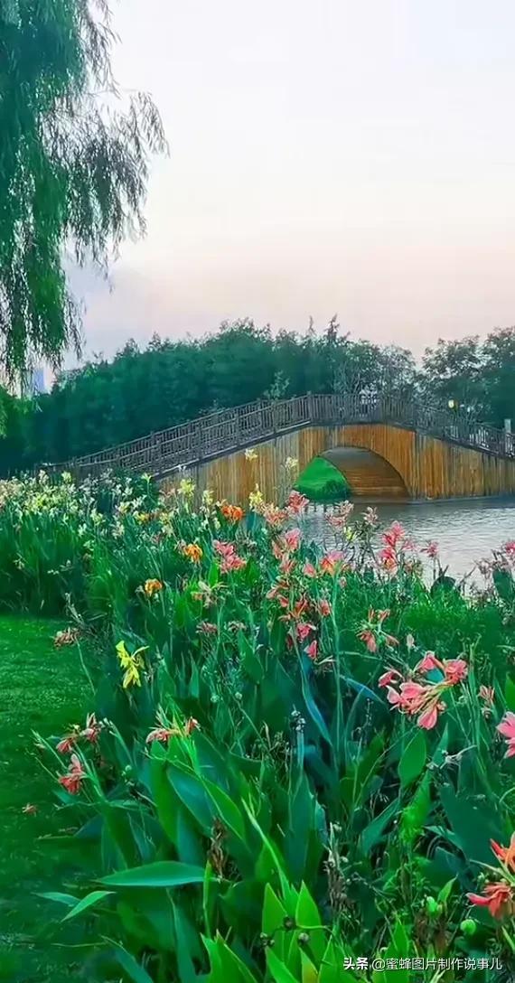 简单的风景景物唯美小清新图片,小清新风景图片 唯美(大自然美景)