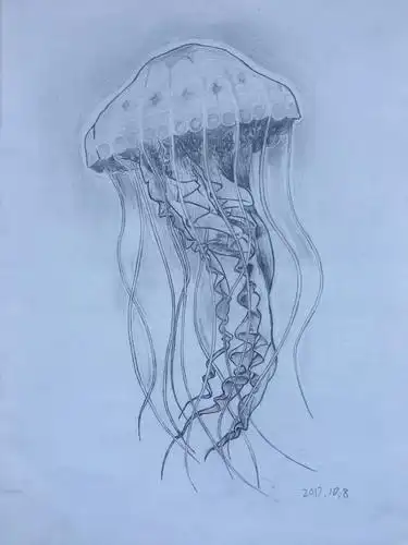 少儿书画作品-《水母》/儿童书画作品《水母》欣赏_中国少儿美术网