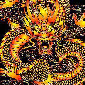 求一张 霸气 ,龙头朝正面的 龙的图片做qq头像的!