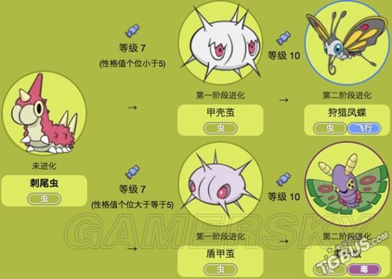 根据性格值的不同会出现两种不同的进化路线的刺尾虫.