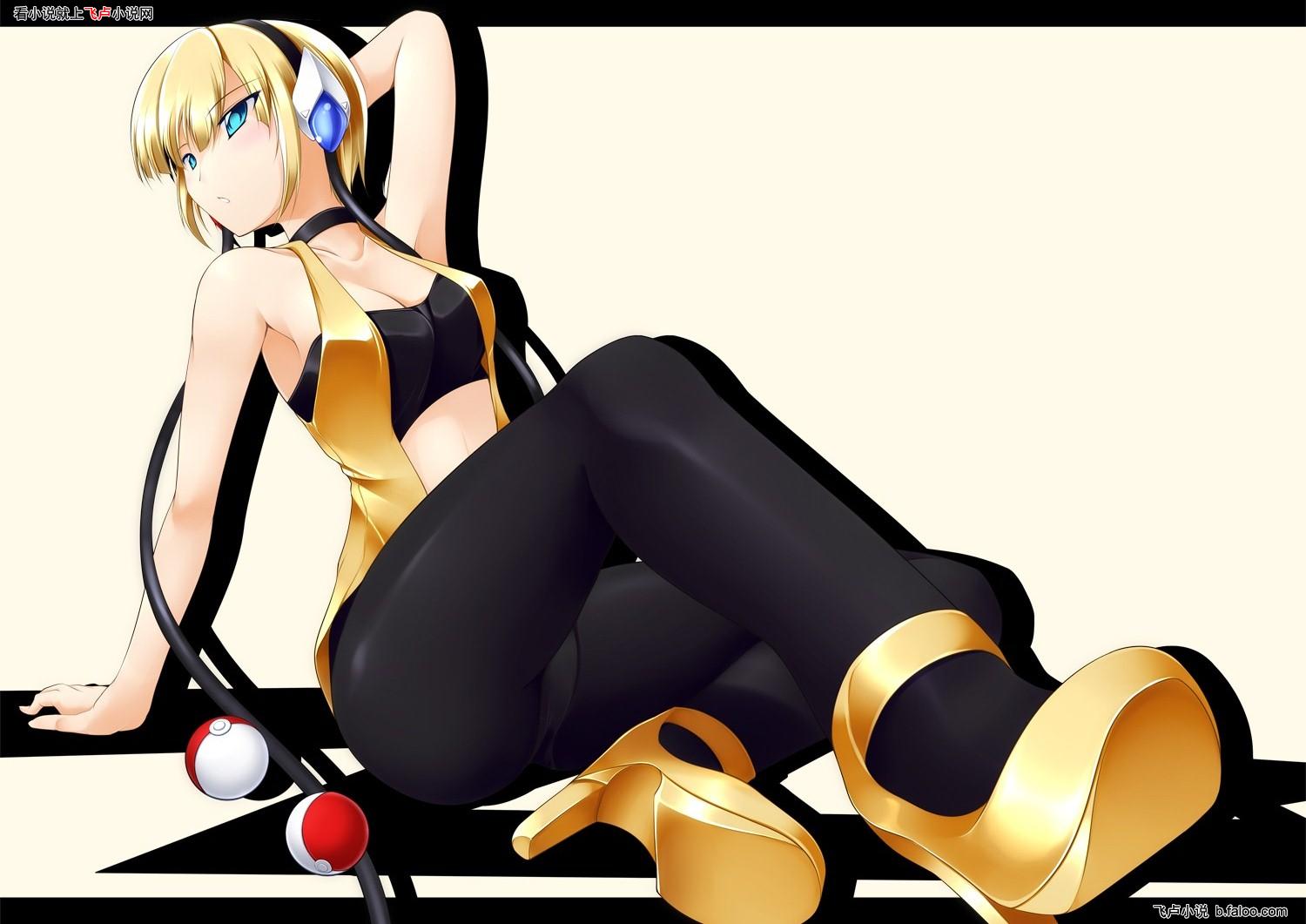 宠物小精灵冠军