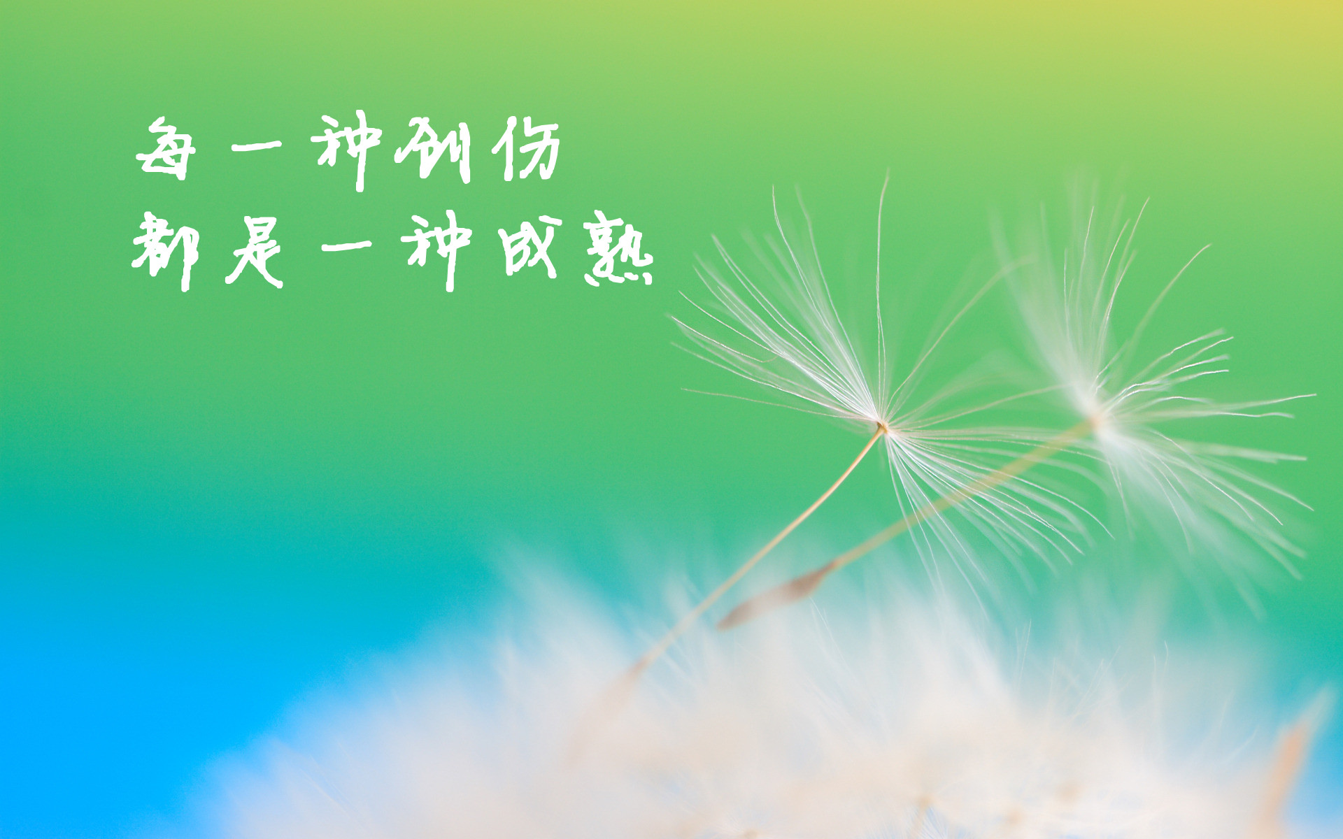 个性简约奋斗宽屏壁纸