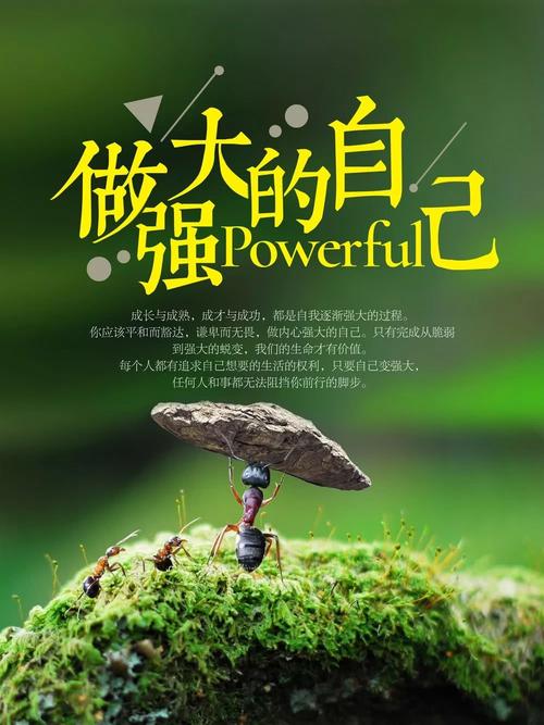 充满正能量的人生哲理短句