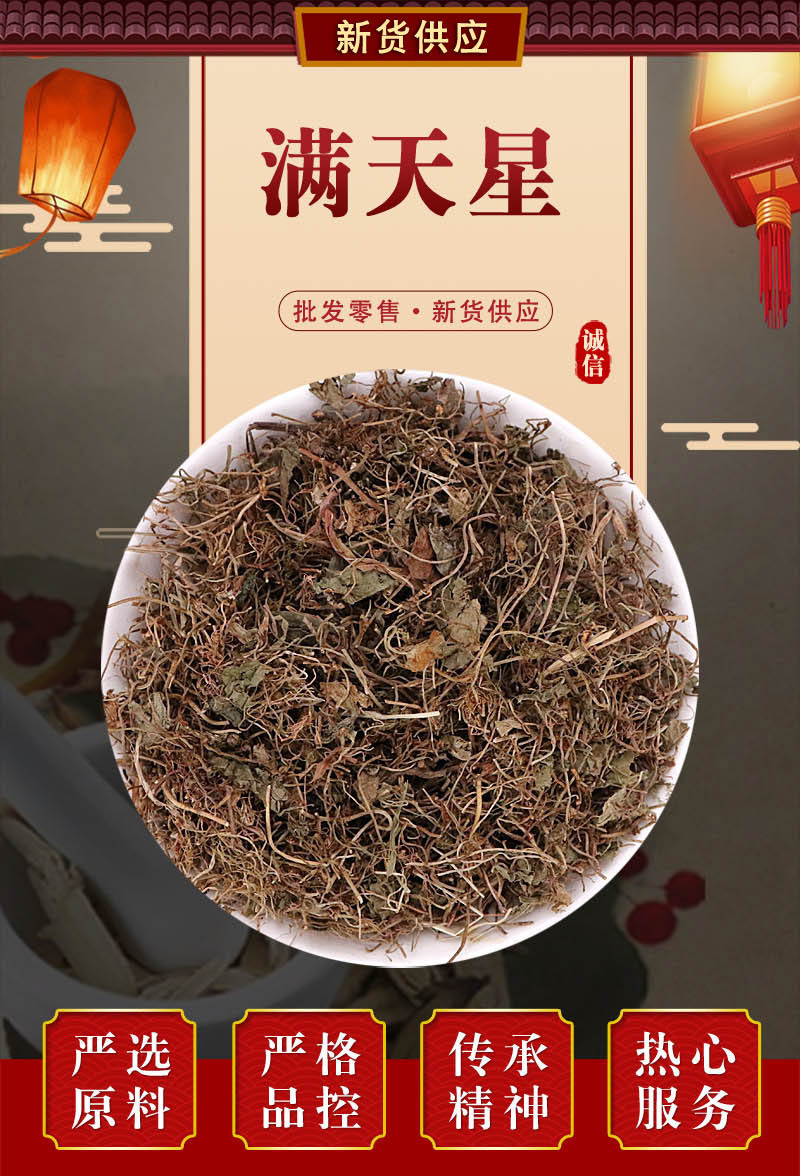 2020年无硫中药材 六月雪别名满天星无硫白马骨支持药检冷背药材