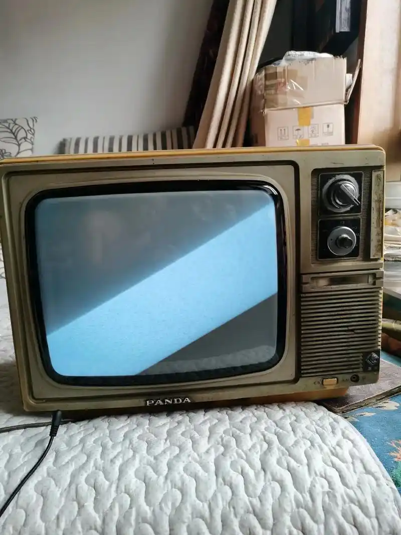 老熊猫14寸黑白电视机,全屏点亮,有声 - 抖音