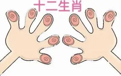 一,亲子操:十二生肖