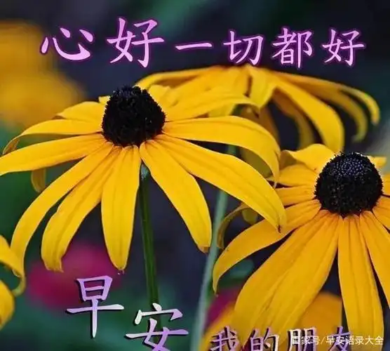 2021特别漂亮的早安问候文字,创意唯美夏日早上好图片祝福语合集