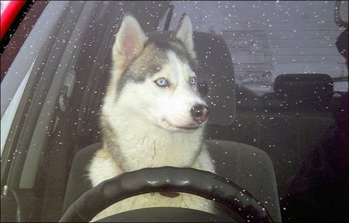 开车中的九个常见致命强迫症 你一共中枪几条-中关村在线