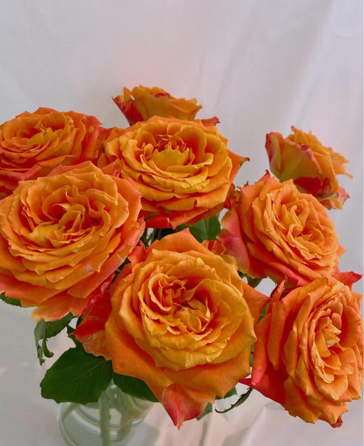 欢乐颂玫瑰全场满20扎起发