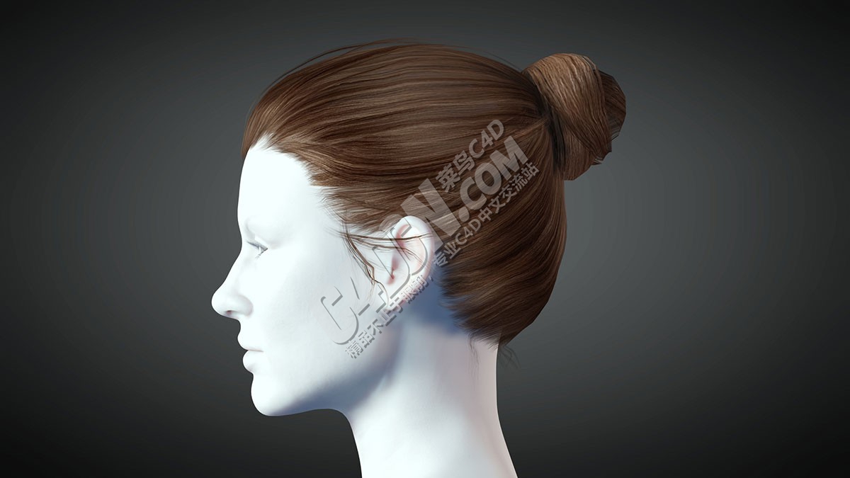 c4d逼真女性头发发型模型