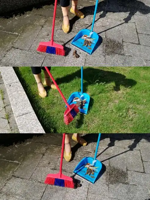 好多业主的狗,随意大小便,清理狗屎是经常的事情,怎样才能提高业主的