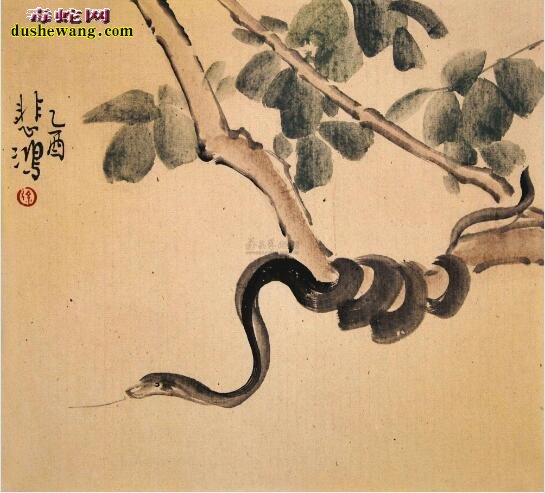 国画蛇图片国画蛇艺术图片欣赏大全