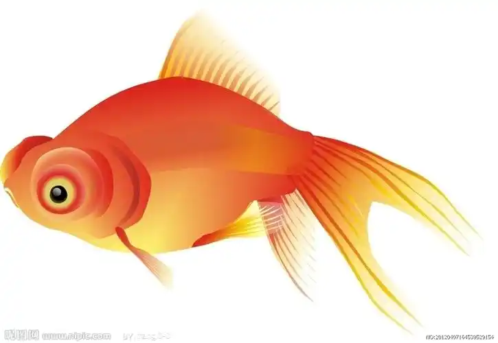 格式:cdr(cdrx4)颜色:10共享分举报收藏立即下载×关 键 词:金鱼 矢量