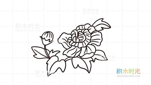 芙蓉花简笔画简单