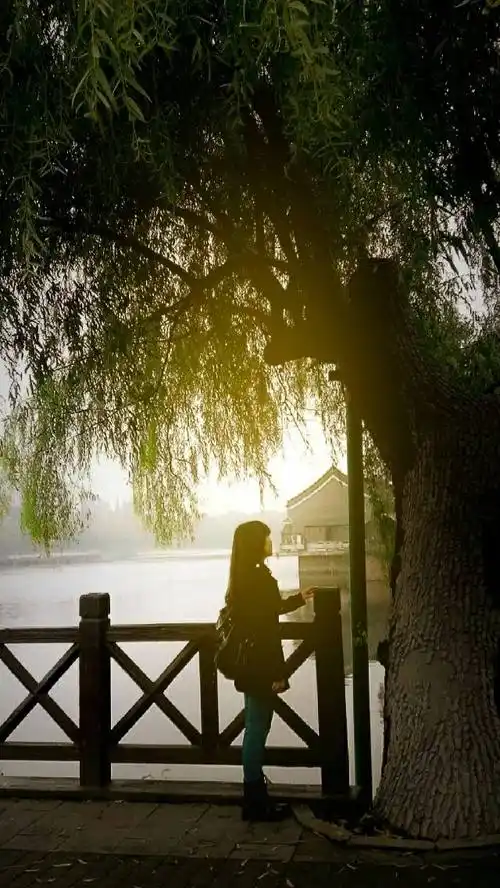 一个人安静的图片(一个人安静的图片淡然)
