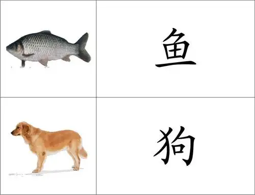 生动的幼儿识字卡片配图(超实用)