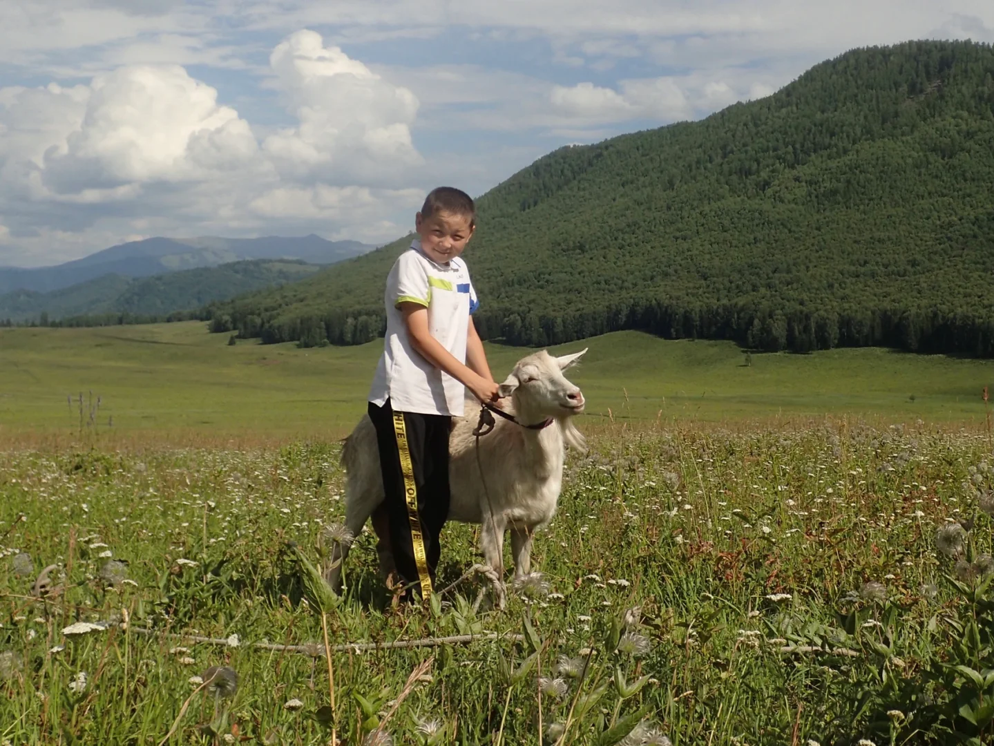 放羊的哈萨克小男孩