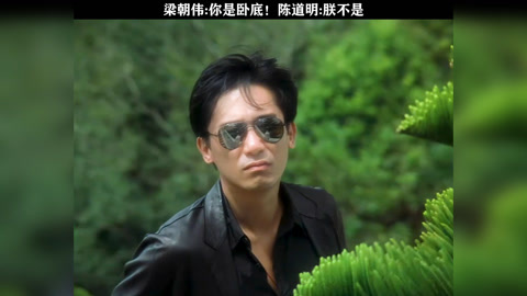 无间道 陈道明 梁朝伟 黎明