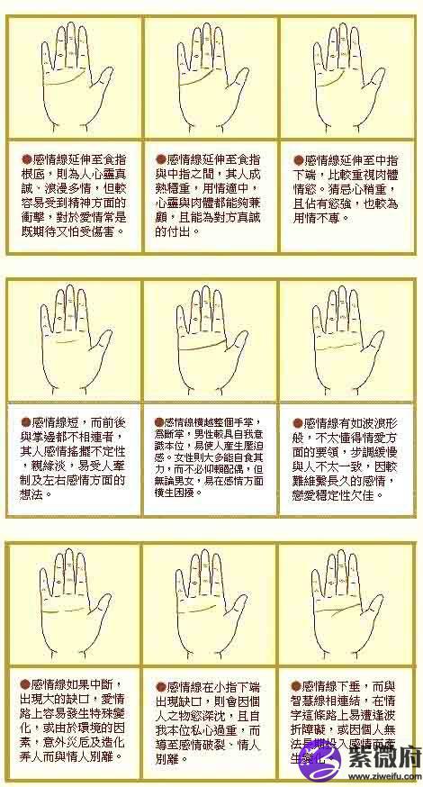 最详细的感情线图解