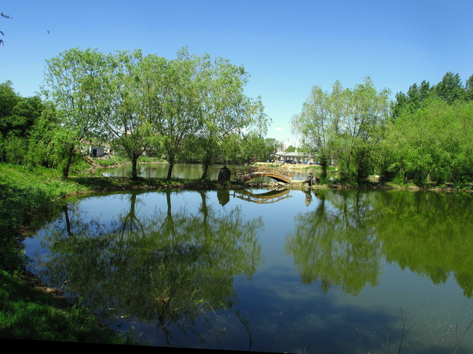 山水树木倒影桌面壁纸_风景壁纸_壁纸下载_美桌网