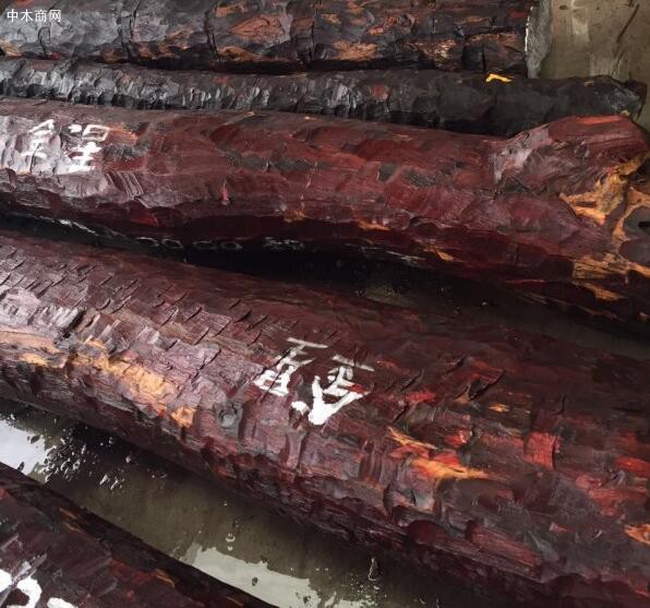 非洲染料紫檀价格行情彻底沉了下去了_2020年12月29日