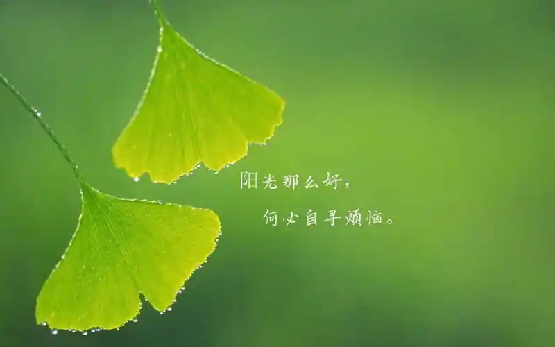 夏天天气凉爽心情好的好说说