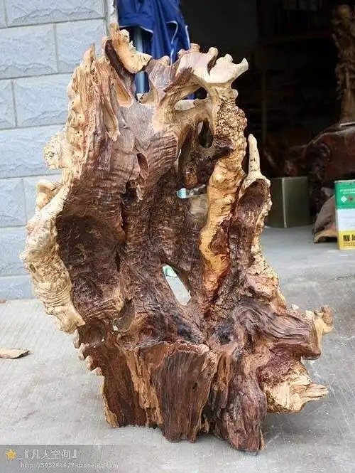 根雕根雕 天然胡杨树木根雕摆件 家居艺术品 根艺 胡杨树根木根雕批发